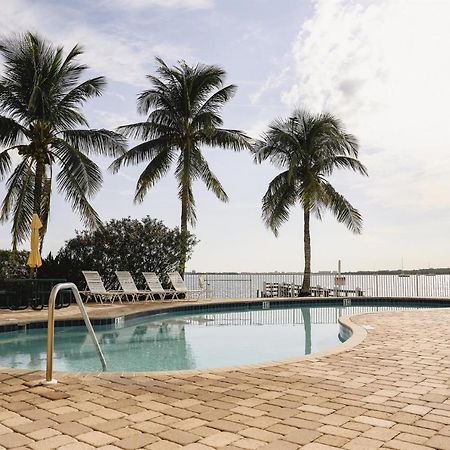 Dolphin Bay In Boca Ciega Resort - 2Br, Pool, Bay View Sankt Petersburg Zewnętrze zdjęcie